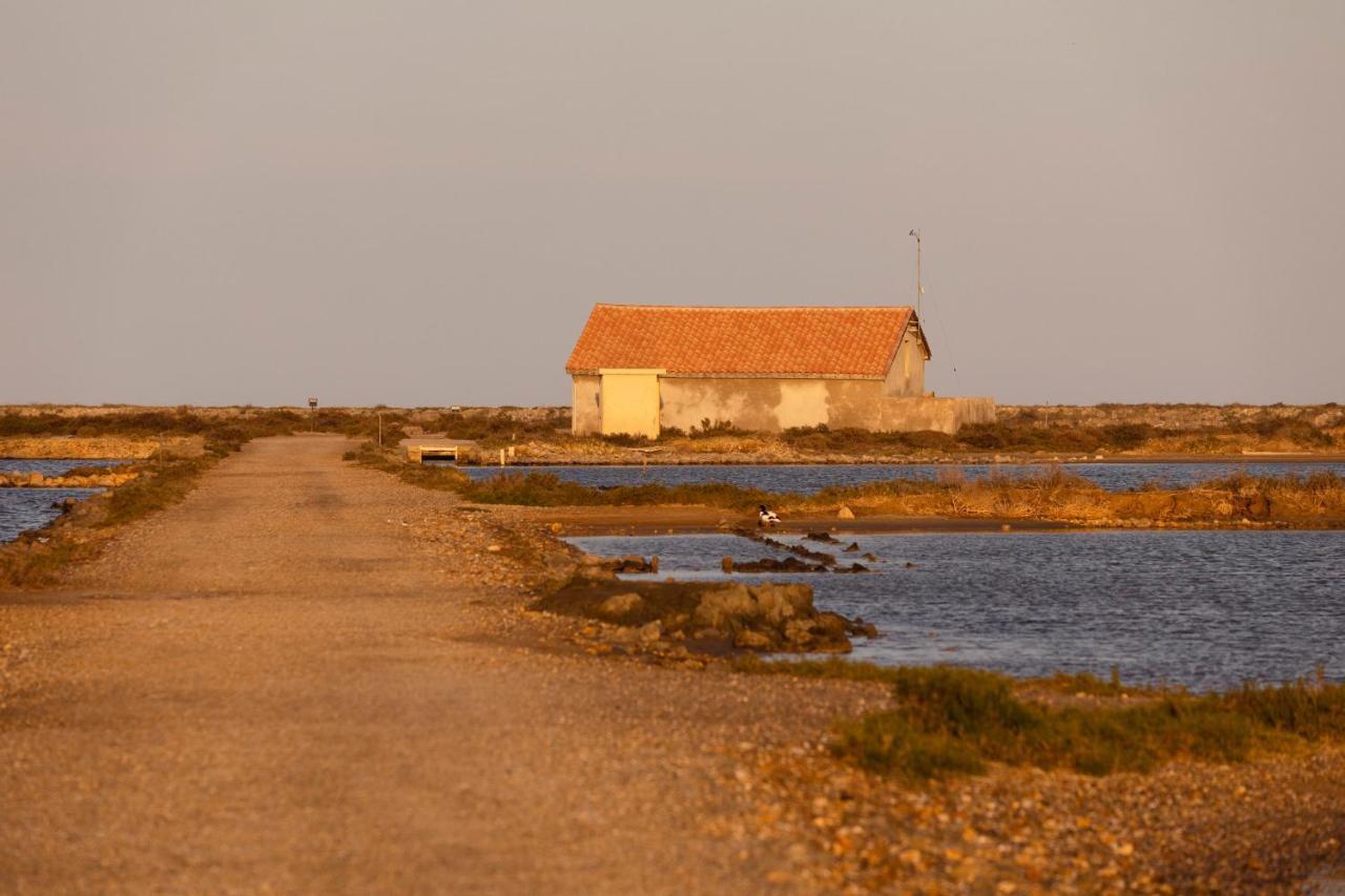 Vvf Narbonne-Plage Saint-Pierre-La-Mer Fleury (Aude) Exterior foto
